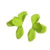 Náušnice Flor de Sol - zelené