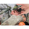Halloweenský pavouk 4 ks velké dekorace strašidelné