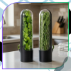 Herb Saver černá 2dílná nádoba na bylinky do lednice, čerstvé bylinky