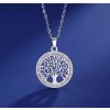 Náhrdelník s přívěskem stromek z chirurgické oceli, stříbrný, zdobený zirkony