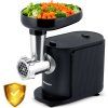 BD-600 Berdsen 300/800W mlýnek na maso