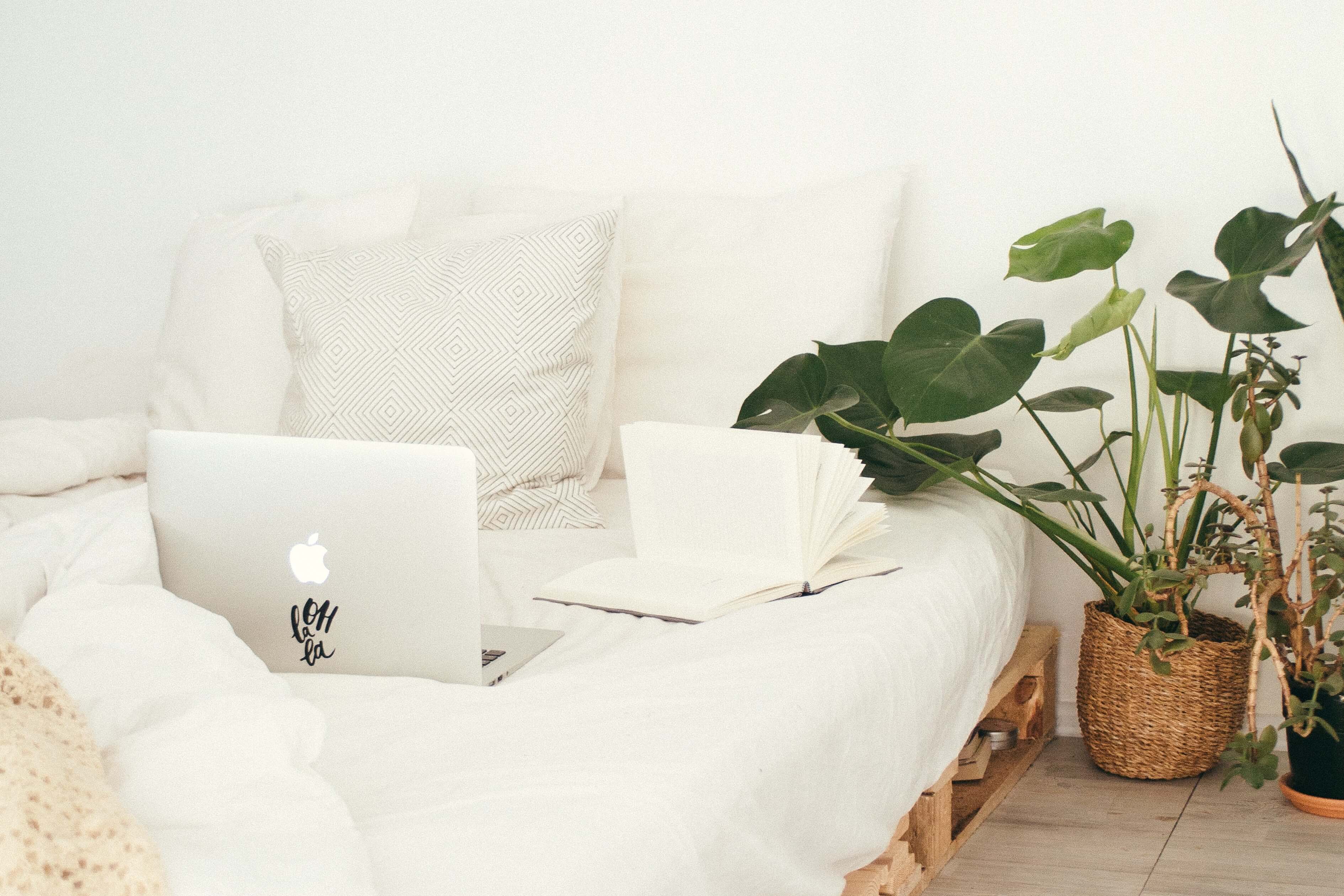 Patria‌ ‌rastliny‌ ‌do‌ ‌spálne?‌ ‌Vieme,‌ ‌na‌ ‌ktoré‌ ‌druhy‌ ‌sa‌ ‌zamerať