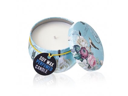 sojova sviecka pivonky modra