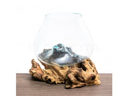 akvarium pre riasogule na dreve velke florecita 001