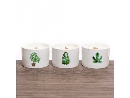 Sójová sviečka s dreveným knôtom stredná 320 g - Citrón & Zemolez