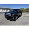 2019 Cadillac Escalade ESV