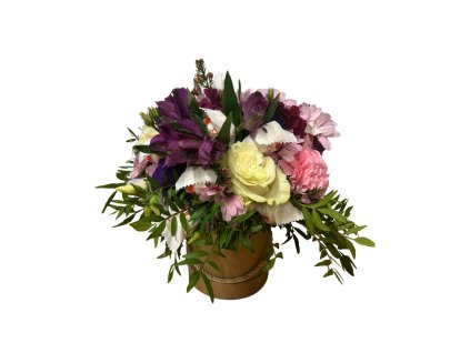 WhatsApp Image 2026 01 16 at 13.06.52