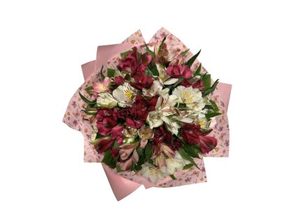 Puget kvítí alstromerie