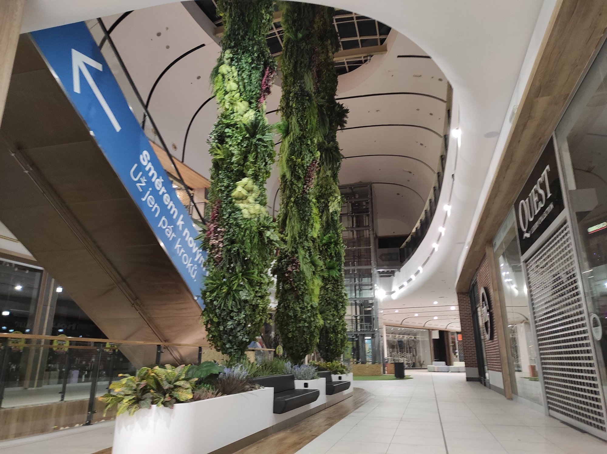 🦕 MEGA kvetinové stĺpy v Liberci 🦕