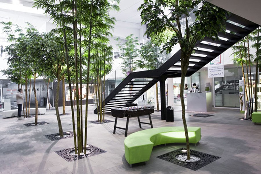 Umelé rastliny novej generácie