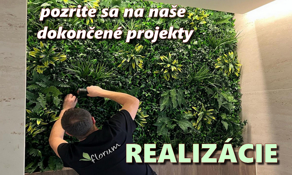 Realizovane projekty