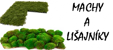 Machy a lišajníky