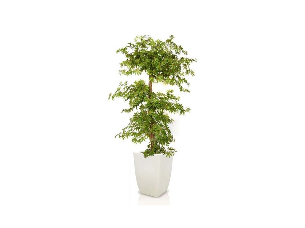 Umělý strom Maple Multistep (Varianta (220cm) multicolor)