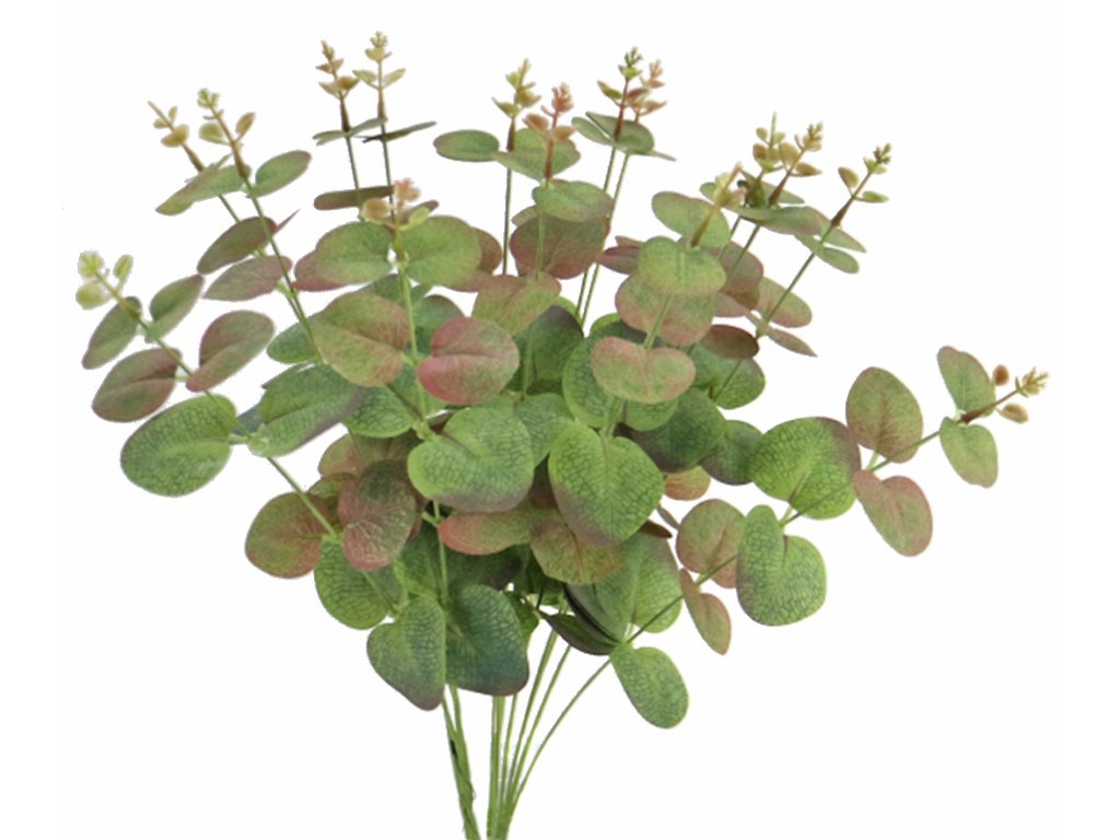 Eucalypthus Bush 45 cm Multicolor 5596MLT