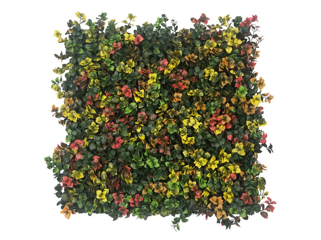 Leucadendron multi color kunsthaag1 1