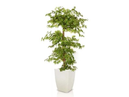 Umělý strom Maple Multistep (Varianta (220cm) multicolor)