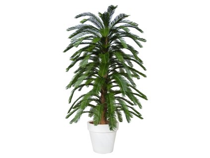 Cycas Florida 230 cm Green V4222A16