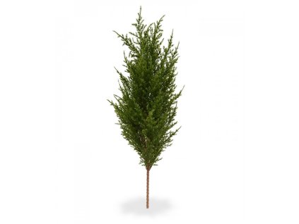 Cypris vetvicka 56cm