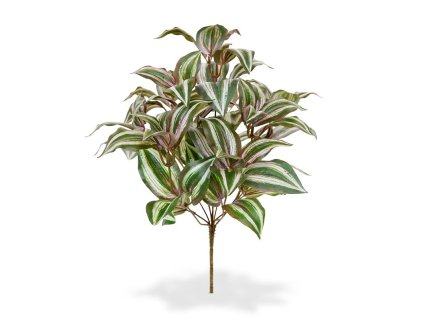 408804 tradescantia zebrina boeket 40