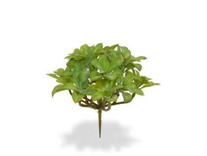 406502 beautertia boeket 15