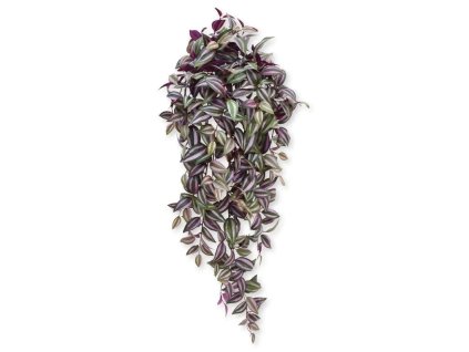 202610 tradescantia hangplant 100 paars 3