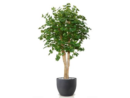 Gynkgo Florida 200 cm Green V1086003