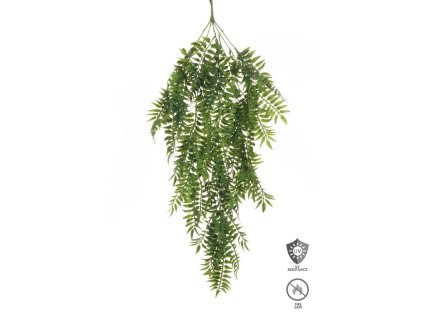 EVERGREENS 80 433961