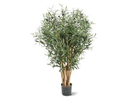 AnyConv.com 135510 olijfboom 100 pp maat 100 1 4