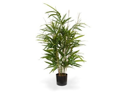 AnyConv.com 121007 royal bamboe 70 groen pp 1 4