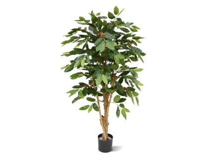 AnyConv.com coffee arabica deluxe 150 cm n 150715 1 2