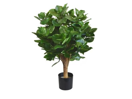 AnyConv.com 153806 4