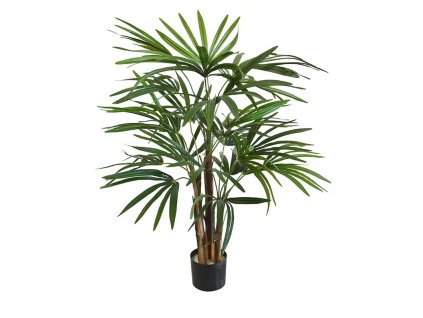 AnyConv.com 184007 4