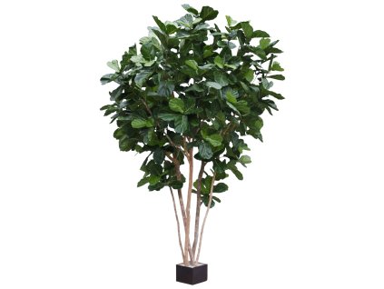 AnyConv.com 102442 Lyrata Giant deluxe 420
