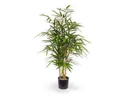 AnyConv.com 121009 royal bamboe 95 4