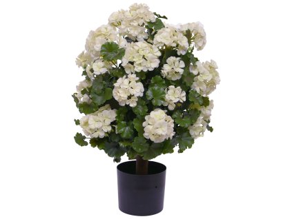 AnyConv.com 145005UVWI Geranium bol 50 creme 2