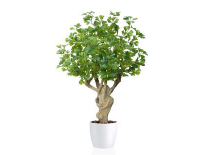 Gynkgo Crown Mini 110 cm Green 1087006