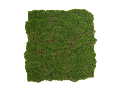 Moss base Va