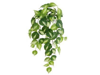 AnyConv.com 213206 philodendron kunst hanger bright brasil 60cm 2