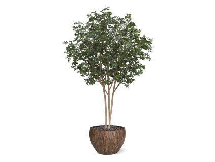 AnyConv.com oriental olijf kunstboom deluxe 320cm combination image 3(1)