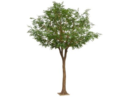 AnyConv.com 132037 Murraya deluxe XXL 370 3(1)