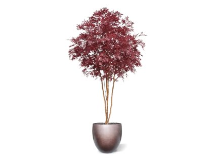 AnyConv.com japanse acer kunstboom deluxe 325cm burgundy combination image 2