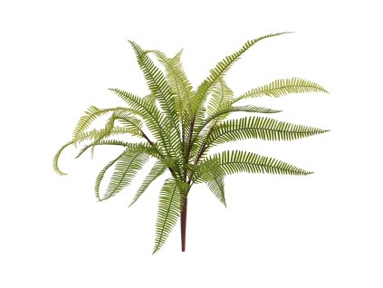 AnyConv.com 447104 Boston Varen boeket 40 3(1)