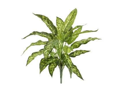 AnyConv.com 448704 aglaonema n kunstplant 40cm 1