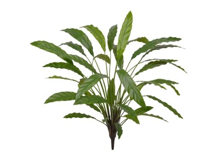 AnyConv.com 152207 Calathea Kunstplant 70cm Groen
