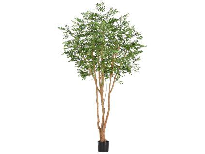 AnyConv.com 132025 Murraya Kunstboom Deluxe 250cm in pot