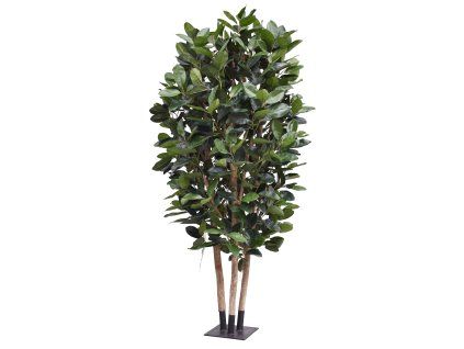 153129GR Elastica Robusta Kolom deluxe 300 groen