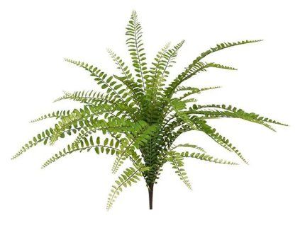Umelá rastlina Papraď Asplenium (45cm)