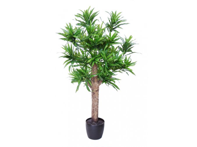 Dracaena Reflexa Plant 120 cm Green V4008A33