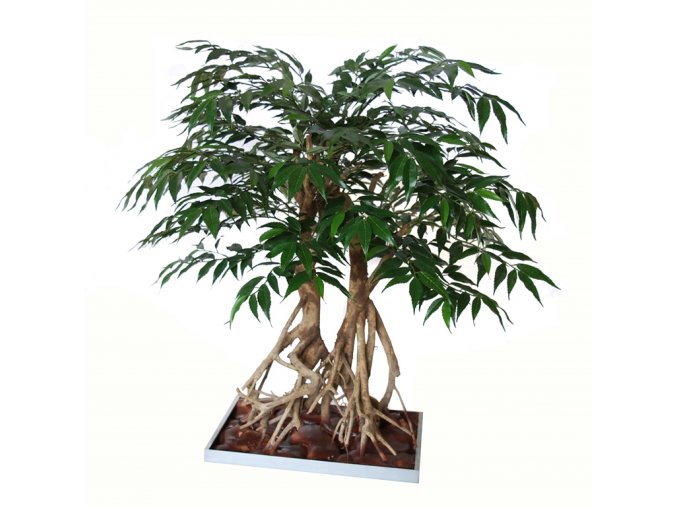 Myrsifolia Root Bonsai 80 cm Green V1068010