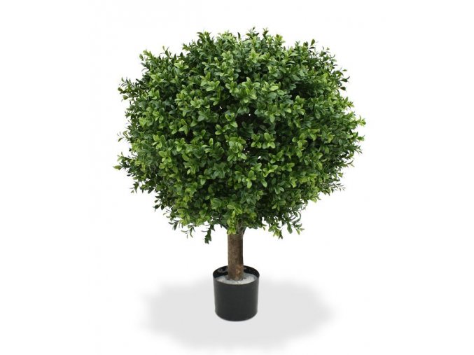 138205 buxus ball 50 pp